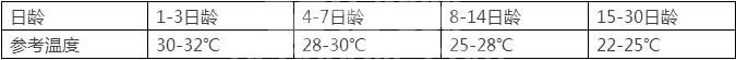 初生仔猪温度管理，您做的是否到位？