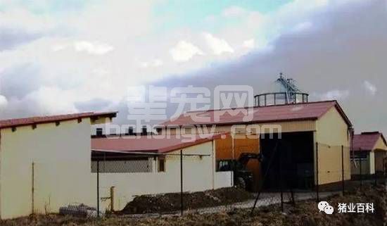 规模猪场控制仔猪腹泻的7大细节管理，经典！