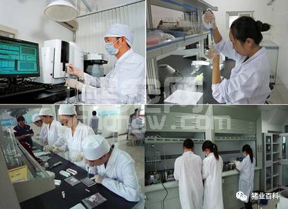 您的猪群在排毒，您知道吗？！