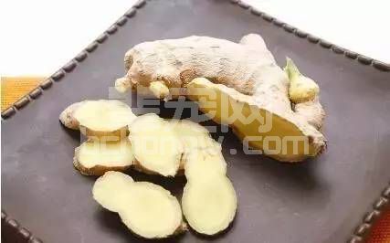 “冬吃萝卜夏吃姜，不用医生开药方”，夏季生姜在养猪中的妙用！