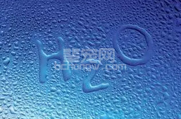 必读！水对猪的健康很重要的！