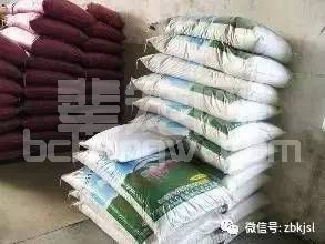 控制猪场饲料成本的诀窍，你知道多少？
