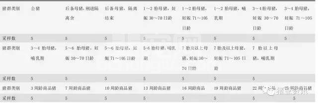 规模化猪场需要做哪些抗体检测？这些你都知道吗？