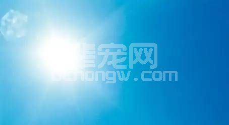 猪场夏季防暑降温的N种方式