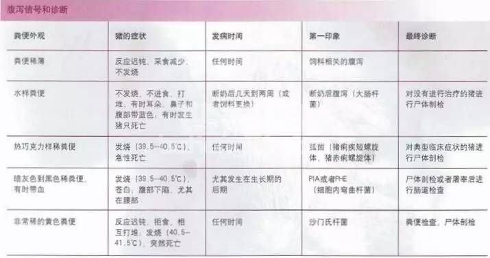 猪场养猪盲点？解析引起疾病的原因