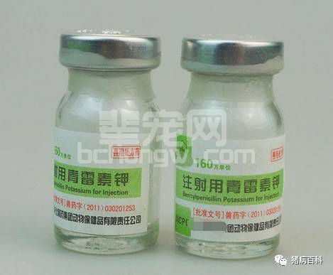 养猪场常用药物都在这里，还有用药注意事项呢！