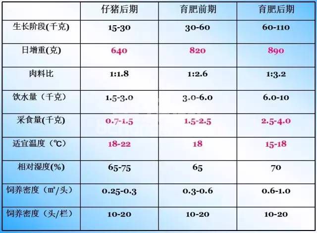 猪各生理阶段的的营养需求与饲养管理细节，太全太有用了！