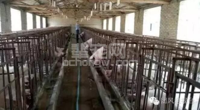 6个措施有效控制养猪场潮湿？来这里看看~