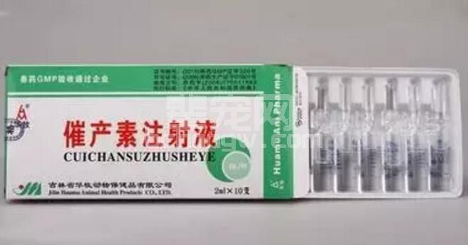 母猪难产---除了打催产素，你还有其他办法吗？