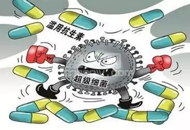 猪场谨防过度使用抗生素，这些小建议请你采纳......