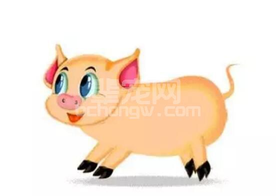 资深养殖户经验分享：早春季节养猪要注意这些问题，尤其是防早春寒