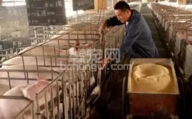 猪场饲料浪费触目惊心，只是很多养猪人还不知道！