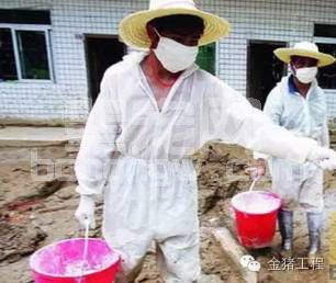 防疫与保健：自繁自养的猪场，如何做好防疫？