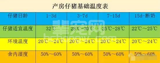 仔猪腹泻变“僵猪” ，该如何预防和治疗？