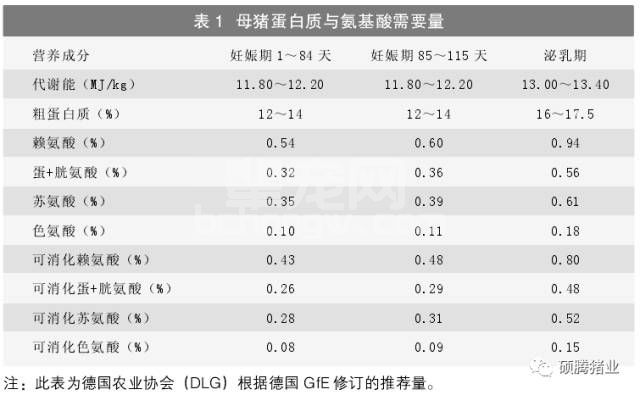 母猪一生都要高水平饲养？看中农王爱国教授怎么说！