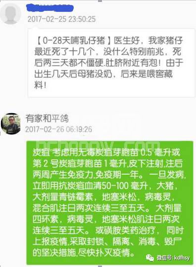 遇到这种病死猪，切记不要解剖！