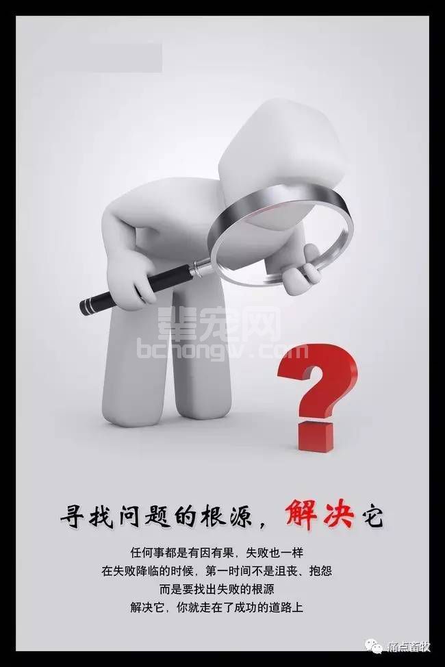 又降温了 冬季养猪保温御寒我有高招！
