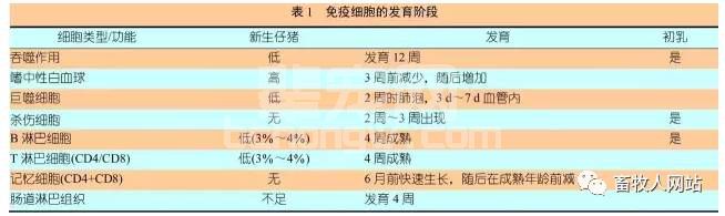 猪场的批次管理——现今养猪生产唯一实用的生产方式