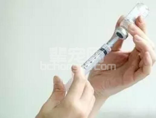 一针退烧针扎下去，你是否考虑过“冤枉”了猪猪？