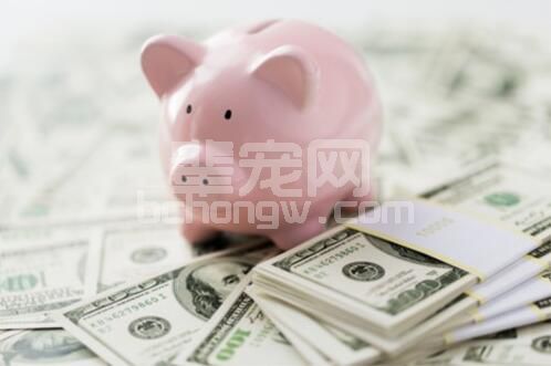 养猪人必看！控制猪场饲料成本有诀窍……