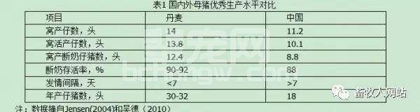 母猪年突破三十头断奶仔猪的营养与管理技术体系