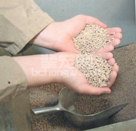 如何让仔猪稳定渡过断奶期?不同饲料的差异先弄清楚