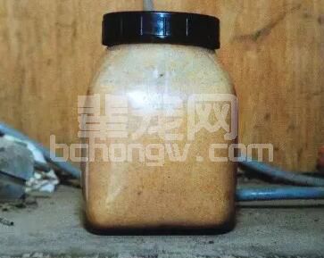 从两个方面的信号来关注育肥猪的健康