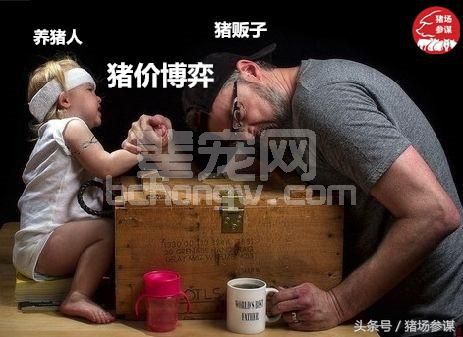 农村养猪人和猪贩子谈猪价，为什么总是完败！