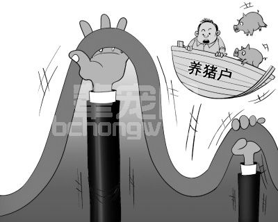 如何应对猪价波动的？规避风险？一个德国猪农给您的建议