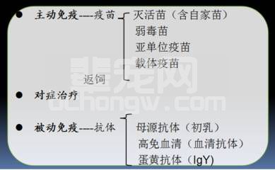 母猪初乳在养猪生产上的妙用