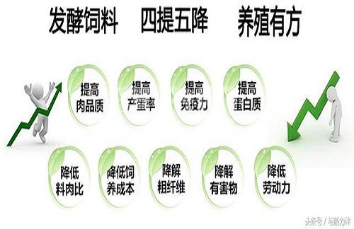 饲料价格不断上涨，据说这样喂养可以降低成本！