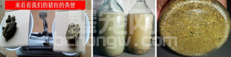 猪到底浪费了多少饲料？第1组图让你大吃一惊没？