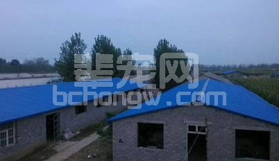 新建养猪场，必须要了解这些决定猪场存亡的问题