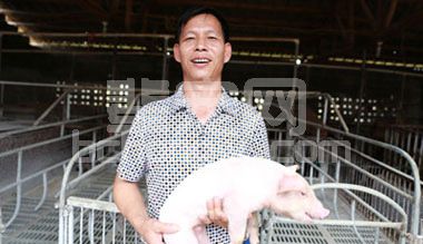 评估式样氧化锌和补充铁剂在预防仔猪缺铁性贫血中的作用