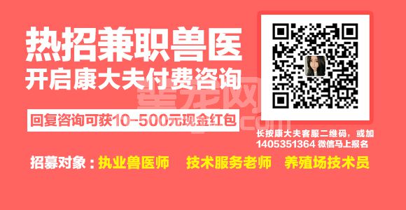 饲养公猪的硬件设施 6点要求要牢记