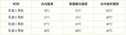 关于新生仔猪管理，这5点很重要！