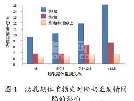 解决初产母猪断奶后不发情的营养学方法