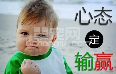 搞养殖，你需要个好心态！看完豁然开朗！