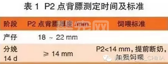 猪场产房管理有技巧，看看别人是怎样保障哺乳母猪“高泌乳量”和“断奶发情率”？