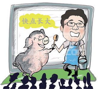 “茶叶猪”育肥的创新技术