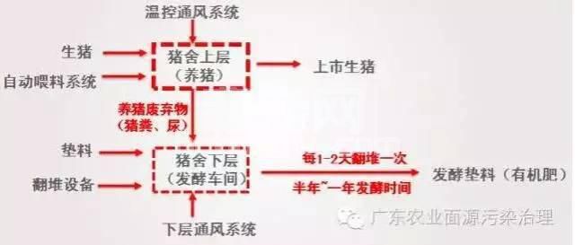 楼上养猪，楼下堆肥！让世界银行环保项目情有独钟的高床养猪长什么样？