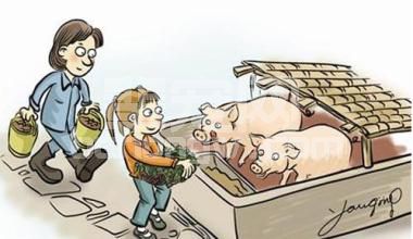 你有这些养猪坏习惯吗？养猪赚钱谨防这些坏习惯