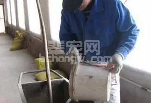 养猪，你必须明白的“事理”！