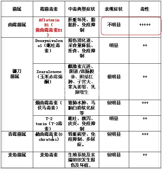 猪场霉菌毒素危害及防控大全 赶快收藏