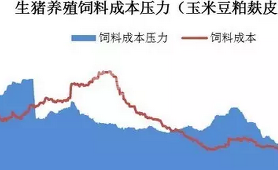 中小规模生猪养殖成本差异分析，多花的钱花哪儿了？