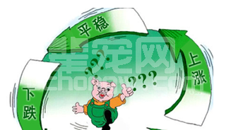 宠辱不惊，养猪人6招应对猪周期