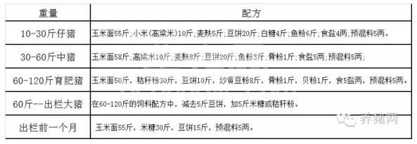 据说育肥猪应该这么养！看看你做到了吗？