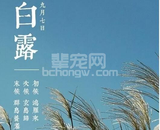 昼夜温差10度！如何做好猪场管理