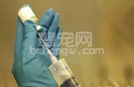 养猪场驱虫前后应注意这些，不然您可能会后悔！