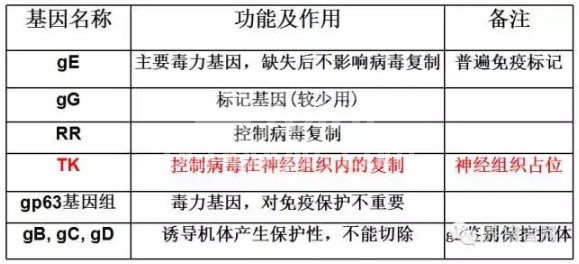 养猪您真的知道伪狂犬为什么进行喷鼻免疫吗？